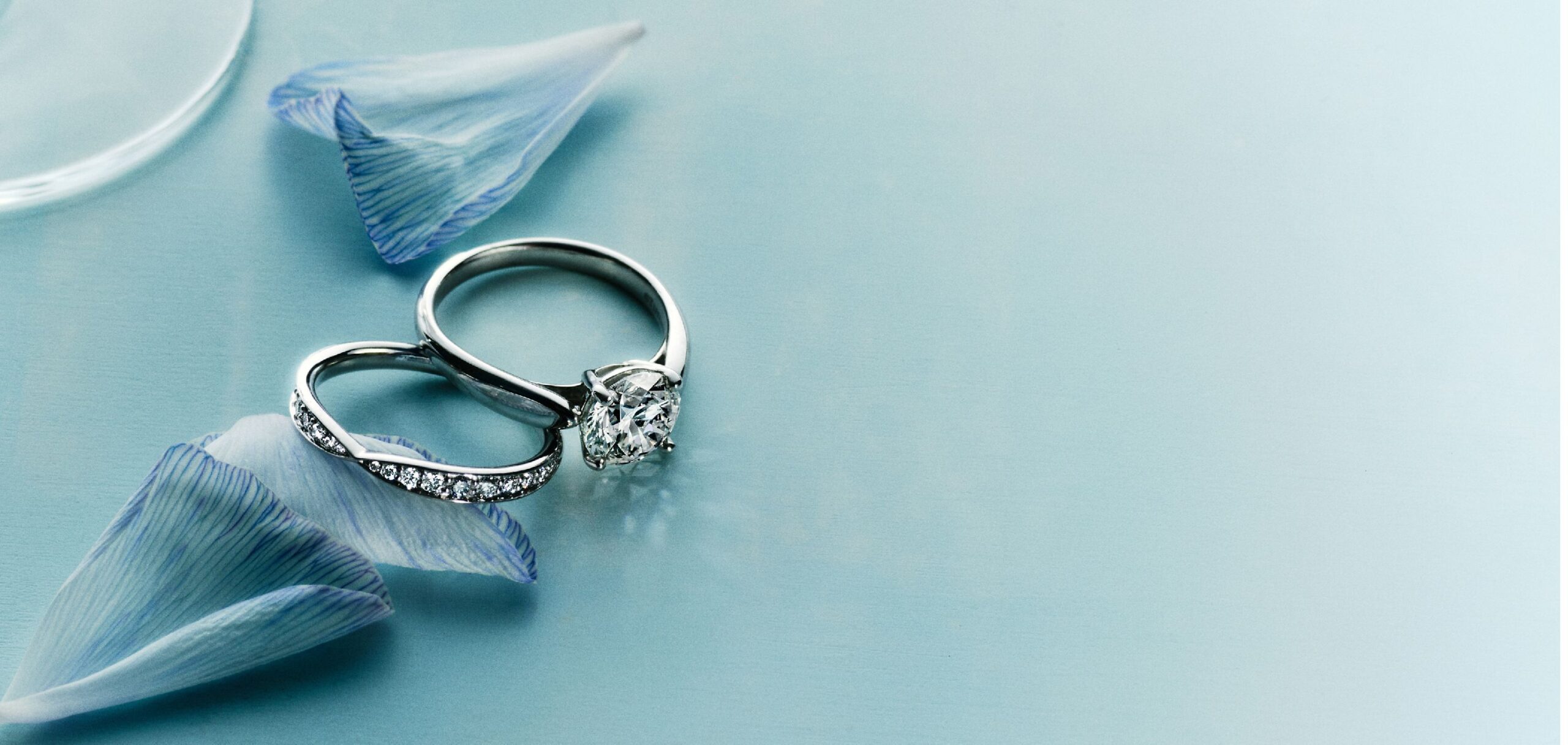 Stellar Adorn -Stellar Adorn 2025 WEDDINGBANDLP HERO Desktop scaled