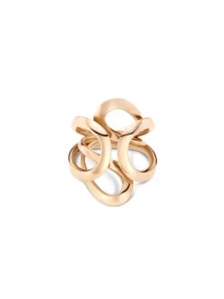 Sensual Golden Bridge Ring