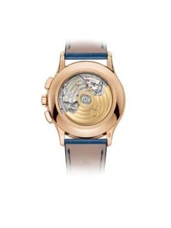 Complications Men´s - 5905R -Stellar Adorn 5905R010 PP310178 wempe 04